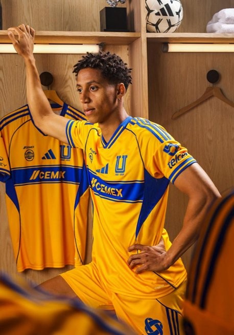 Tigres — portrait